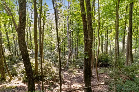 tbd Laurel Way, Fancy Gap, VA 24328 photo 2