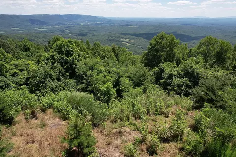 tbd Reflections Point Trl, Fancy Gap, VA 24328 photo 12