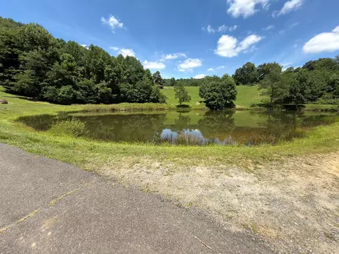 tbd Reflections Point Trl, Fancy Gap, VA 24328 photo 22