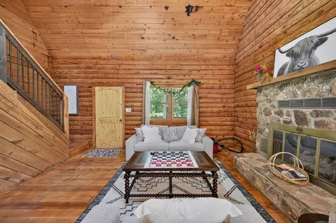 Living - 110 Meadow View Trl, Fancy Gap, VA 24328 photo 6 of 8