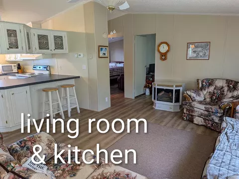 Living - 802 Carrollview, Fancy Gap, VA 24328 photo 2 of 2