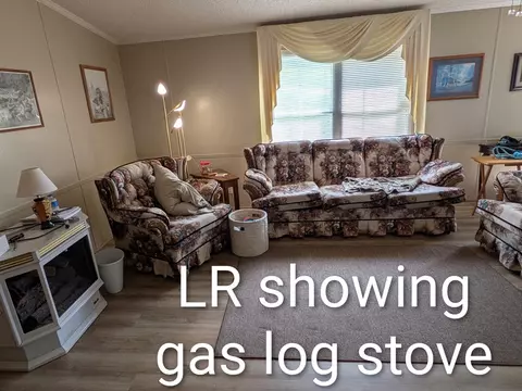 Living - 802 Carrollview, Fancy Gap, VA 24328 photo 1 of 2