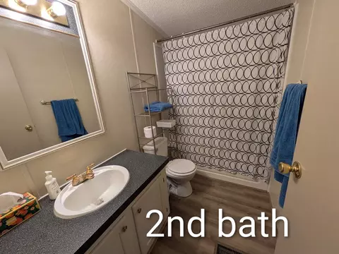 Bath - 802 Carrollview, Fancy Gap, VA 24328 photo 3 of 3