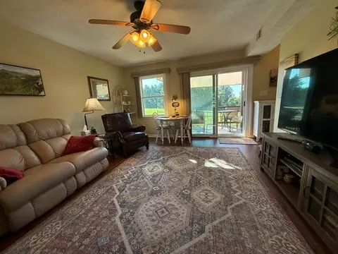 Living - 672 Evergreen Trl, Fancy Gap, VA 24328 photo 3 of 4