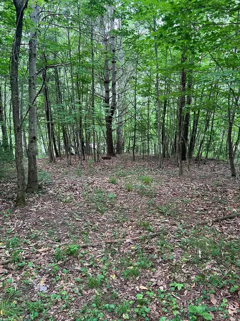 tbd Timberline Dr, Troutdale, VA 24378