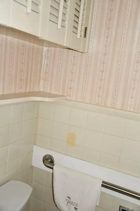 Bath - 305 Birch Ln, Cedar Bluff, VA 24609 photo 4 of 5