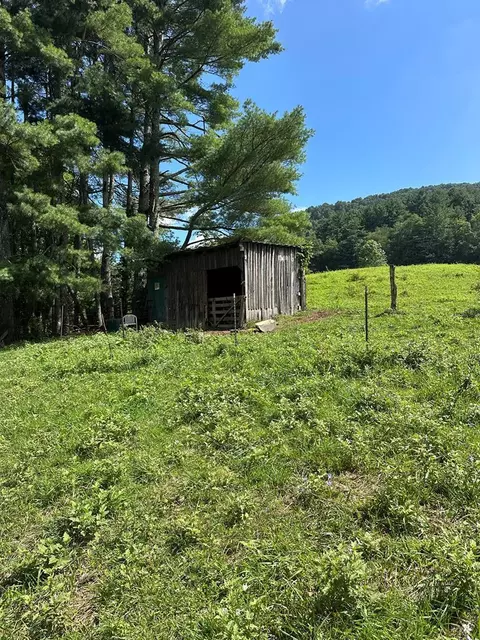 tbd Fox Creek Rd, Mouth Of Wilson, VA 24363