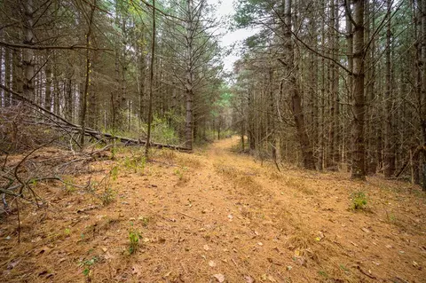 595 Wild Cherry Rd NE, Pilot, VA 24138 photo 8