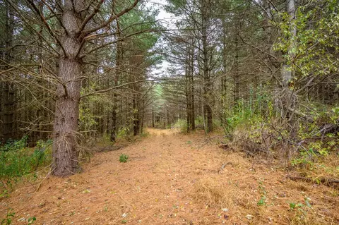 595 Wild Cherry Rd NE, Pilot, VA 24138 photo 5