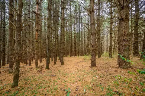 595 Wild Cherry Rd NE, Pilot, VA 24138 photo 6
