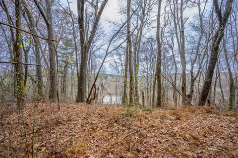 595 Wild Cherry Rd NE, Pilot, VA 24138 photo 10