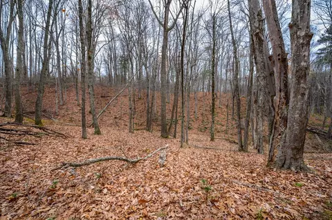 621 Wild Cherry Rd NE, Pilot, VA 24138 photo 9