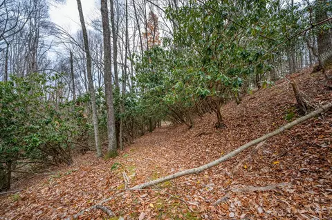 621 Wild Cherry Rd NE, Pilot, VA 24138 photo 8