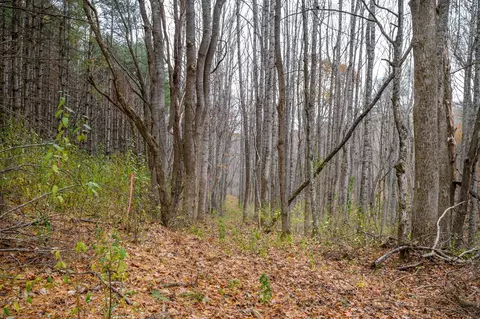 621 Wild Cherry Rd NE, Pilot, VA 24138 photo 2