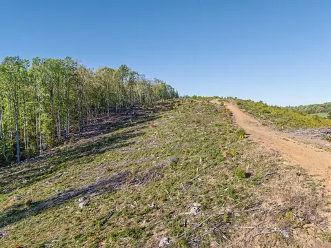 811 Easy Dr NW, Willis, VA 24380 photo 13