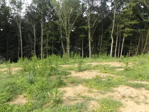 tbd Maple St, Hillsville, VA 24343
