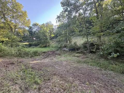 tbd Tattle Branch Rd, Chilhowie, VA 24319 photo 3