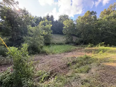 tbd Tattle Branch Rd, Chilhowie, VA 24319 photo 2