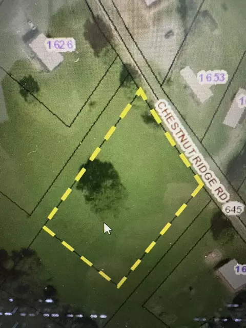 tbd Chestnut Ridge Rd Assemblage, Chilhowie, VA photo 12