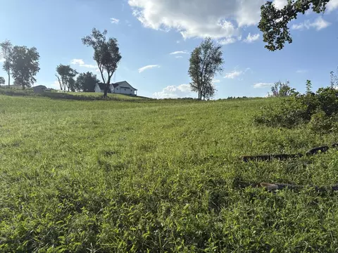 tbd Chestnut Ridge Rd Assemblage, Chilhowie, VA photo 6