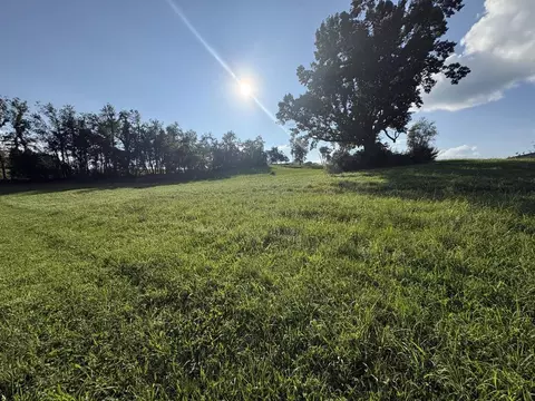 tbd Chestnut Ridge Rd Assemblage, Chilhowie, VA photo 8