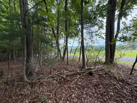 tbd Harrison Dr, Fancy Gap, VA 24328 photo 3