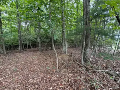 tbd Harrison Dr, Fancy Gap, VA 24328 photo 4