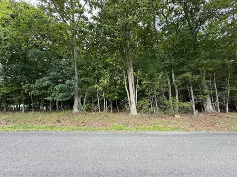tbd Harrison Dr, Fancy Gap, VA 24328 photo 5