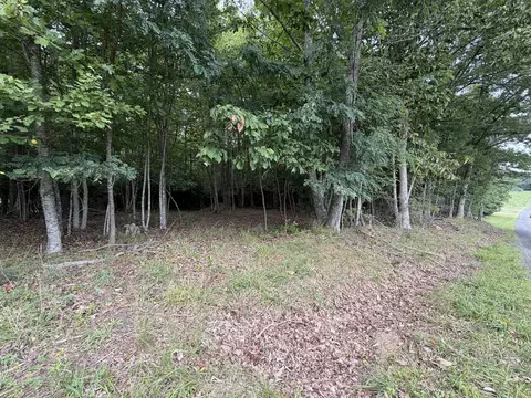 tbd Harrison Dr, Fancy Gap, VA 24328 photo 2