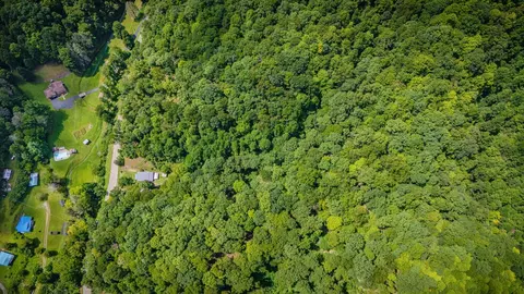 View/Area - 9729 Sandlick Rd, Bee, VA 24217 photo 1 of 2