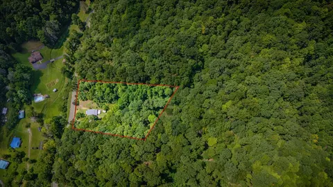 View/Area - 9729 Sandlick Rd, Bee, VA 24217 photo 2 of 2