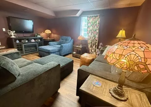 Living - 185 Laurel Dr, Fancy Gap, VA 24328 photo 1 of 3