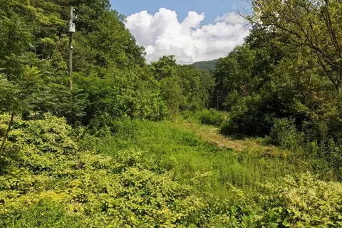 tbd Acres Baptist Hollow Rd, Hiwassee, VA 24347
