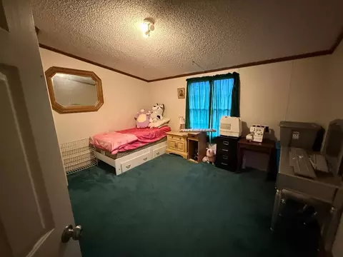 Bedroom - 129 Floyd St, Cedar Bluff, VA 24609 photo 2 of 3