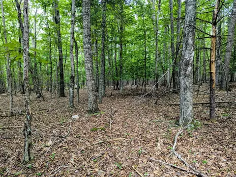 tbd Cannady School Rd, Floyd, VA 24091 photo 4