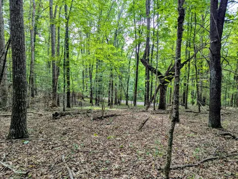 tbd Cannady School Rd, Floyd, VA 24091 photo 5