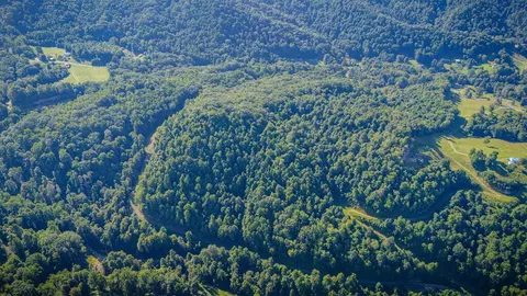 View/Area - 3808 Combs Ridge Rd, Honaker, VA 24260 photo 16 of 16