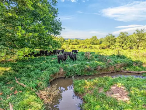 tbd Peppers Ferry Rd, Max Meadows, VA 24360 photo 32