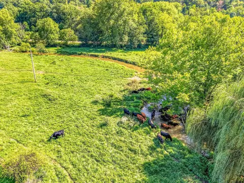 tbd Peppers Ferry Rd, Max Meadows, VA 24360 photo 33