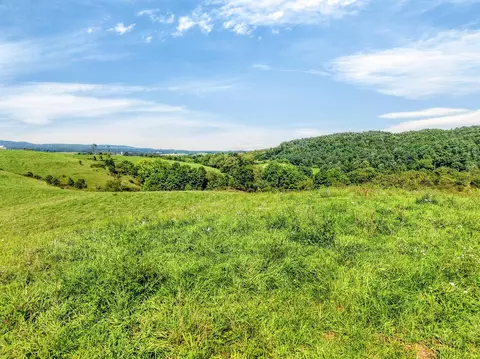 tbd Peppers Ferry Rd, Max Meadows, VA 24360 photo 47