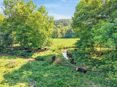 tbd Peppers Ferry Rd, Max Meadows, VA 24360 photo 27