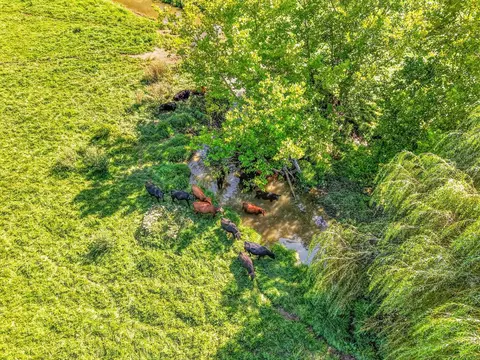 tbd Peppers Ferry Rd, Max Meadows, VA 24360 photo 34