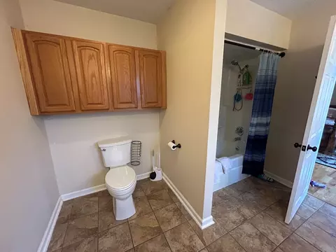 Bath - 135 Pleasant Pine Dr, Max Meadows, VA 24360 photo 5 of 6