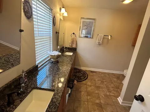 Bath - 135 Pleasant Pine Dr, Max Meadows, VA 24360 photo 2 of 6