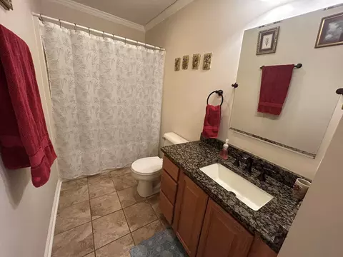 Bath - 135 Pleasant Pine Dr, Max Meadows, VA 24360 photo 6 of 6