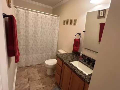 Bath - 135 Pleasant Pine Dr, Max Meadows, VA 24360 photo 3 of 6