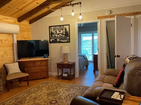 Living - 437 Alpine Crst, Fancy Gap, VA 24328 photo 6 of 11