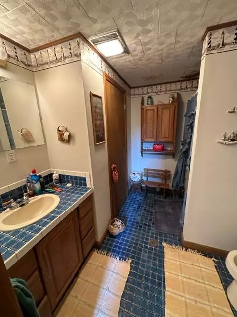 Bath - 55 Ruby Ln, Troutdale, VA 24378 photo 3 of 4