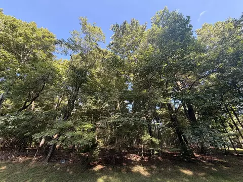 tbd Cascade Trl, Fancy Gap, VA 24328 photo 15