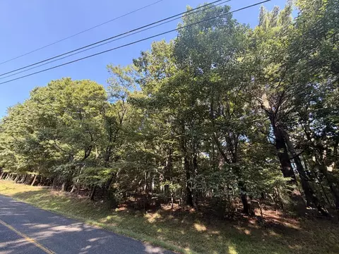 tbd Cascade Trl, Fancy Gap, VA 24328 photo 12